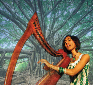 Sheela Harp Surreal